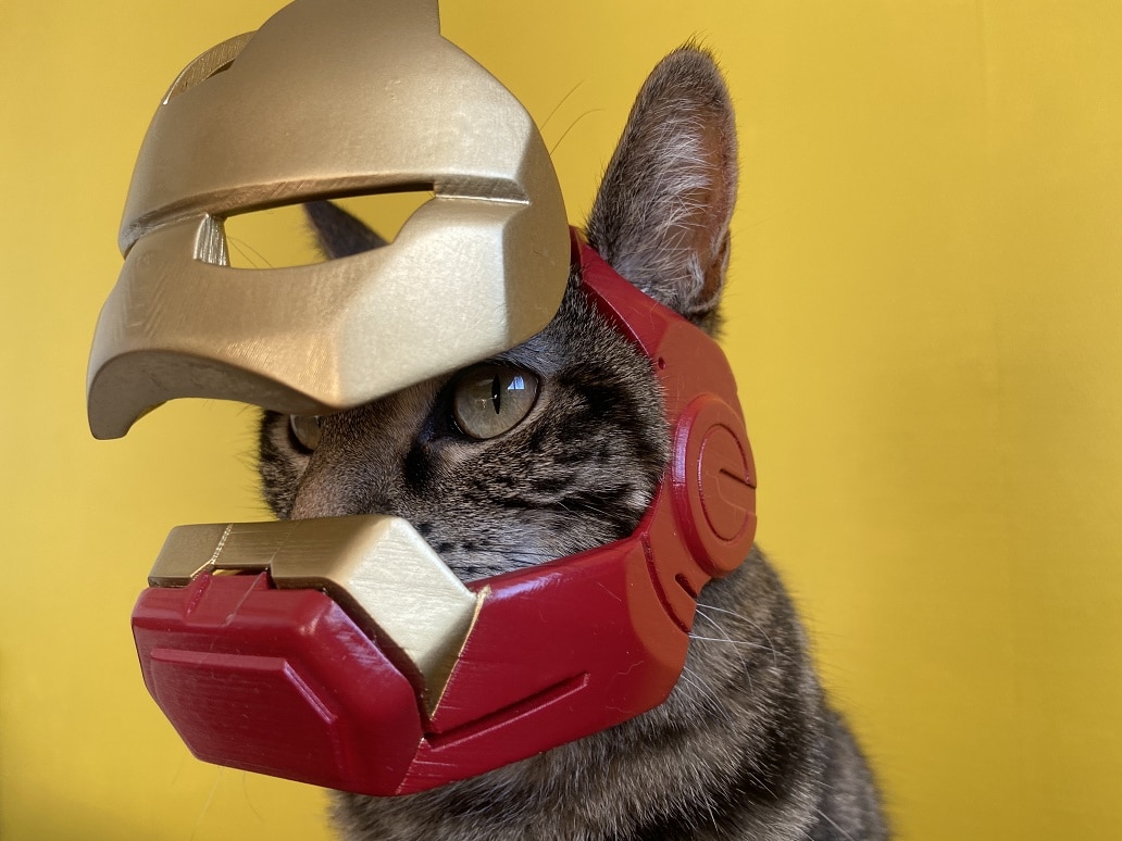 French Influencer Uses Zortrax 3D Printer To 3D Print Helmet For… A Cat! Manufactur3D